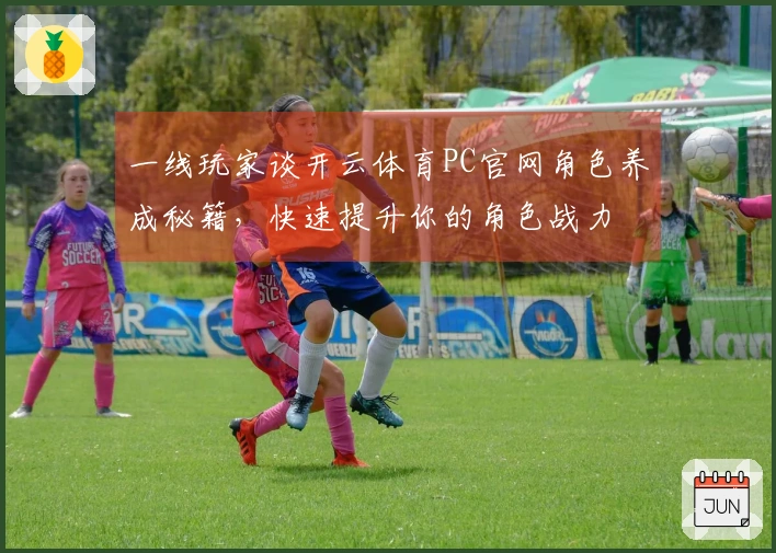 一线玩家谈开云体育PC官网角色养成秘籍，快速提升你的角色战力